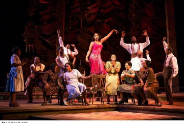 The color purple
